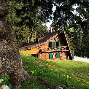 Alpinka , Cerklje na Gorenjskem Slowenien
